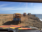 Aruba Jeep Tour