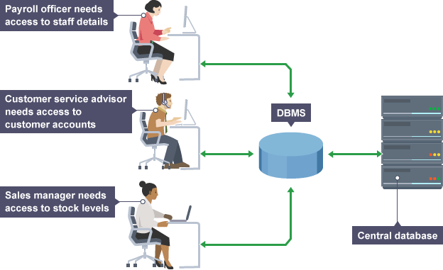 Database Management System (DBMS) Relationships